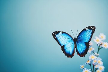 Bluesky icon ,new social media network app Blue sky butterfly