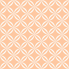 Fototapeta premium geometric seamless pattern texture