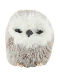 Obraz premium gray owl doll cut out isolated transparent background