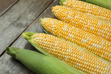 Fresh corn cobs on wooden background