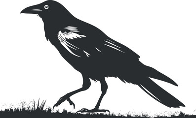 Fototapeta premium Silhouette of a crow walking on grass, showcasing its distinct shape and features.