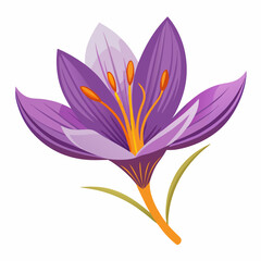 Violet flower isolated of a white background 