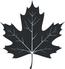 Black silhouette of a maple leaf, capturing the essence of autumn and seasonal change.