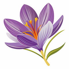 Naklejka premium Violet flower isolated of a white background 