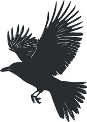 Fototapeta premium Silhouette of a raven in flight with outstretched wings and detailed feather pattern.