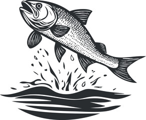 Fototapeta premium Black and white illustration of a salmon jumping out of water with a splash.