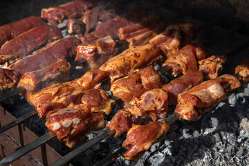 Juicy grilled meat skewers roasting over smoky charcoal fire.
Smoky barbecue meat skewers grilling to perfection over hot flames.