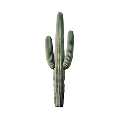 A Cactus in the Dark Isolated on Transparent Background