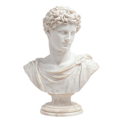 Obraz premium Classical Marble Bust of a Young Man with Curls