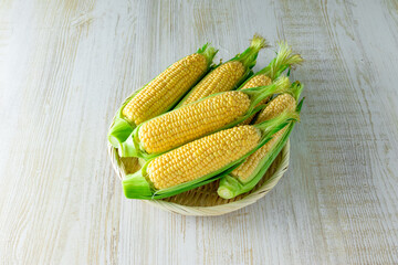 とうもろこし　ゴールドラッシュ　Corn Gold Rush