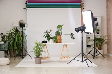 Interior of photo studio with professional equipment, table and plants