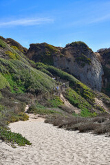 Sandy trail leading up to Point Dume State Beach Nature Preserve in Malibu, California. 