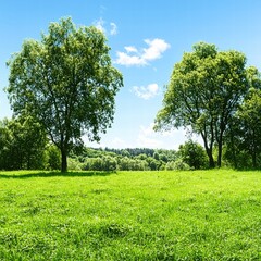 Fototapeta premium Serene field with lush green grass and majestic trees against a clear blue sky in the background