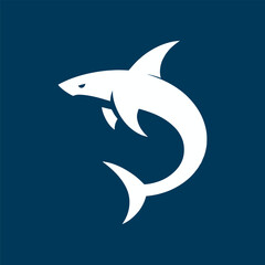vector illustration of a shark
