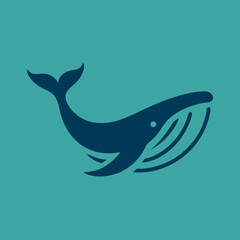 whale vector illustration