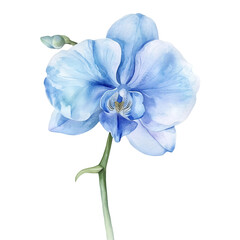 Lamas personalizadas con motivos artísticos con tu foto Blue orchids in watercolor, a delicate dance of color.