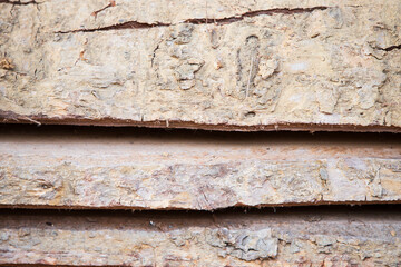 close up  Old wood texture background.