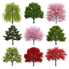 collection of trees