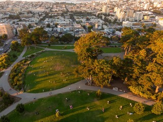 People enjoy leisure time at Alamo Square, San Francisco, California, USA. Some are walking, others are picnicking, and many are playing with their dogs on a sunny day.