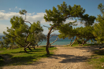 View of the coast of Aegina island, Greece.