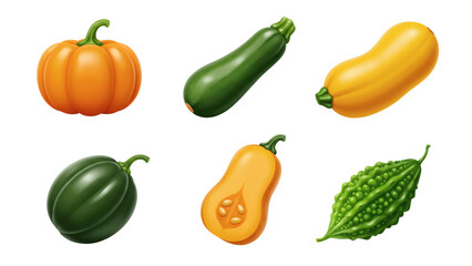 Assorted Squash Varieties Illustration Featuring Pumpkin Zucchini and Bitter Melon