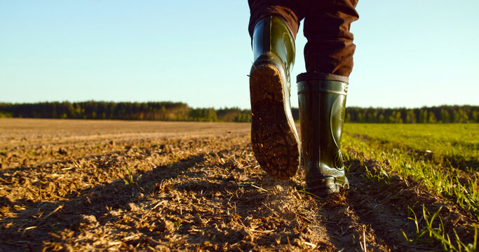 Low angle: man walking in rubber boots in a farmer's field, the blue sky above the horizon. Man walking through an agricultural field. Farmer walks through a plowed field in early spring.