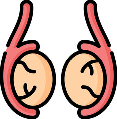 testicle Illustration on a white background.