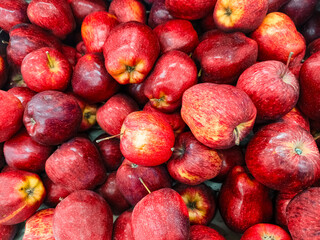 An apple is a round, edible fruit produced by an apple tree Malus spp. Fruit trees of the orchard or domestic apple Malus domestica, the most widely grown in the genus, are cultivated worldwide.