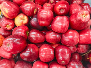 An apple is a round, edible fruit produced by an apple tree Malus spp. Fruit trees of the orchard or domestic apple Malus domestica, the most widely grown in the genus, are cultivated worldwide.