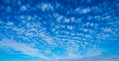 Cloudy skies. Many clouds in sky. Cloud wallpaper. Sky background. Cloudy sky with sunlight. White clouds wallpaper. Blue sky and white clouds background.