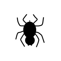 spider isolated on white background