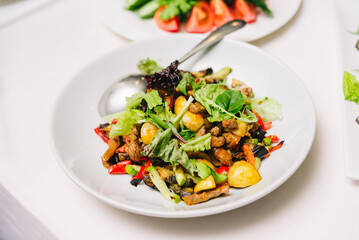 Warm Meat and Vegetable Salad on White Plate. Colorful mixed salad with grilled vegetables, tender...