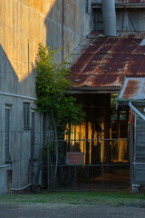 Late afternoon light shining through an abandoned and neglected factory