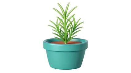 Obraz premium Green rosemary plant in a turquoise pot with soil.