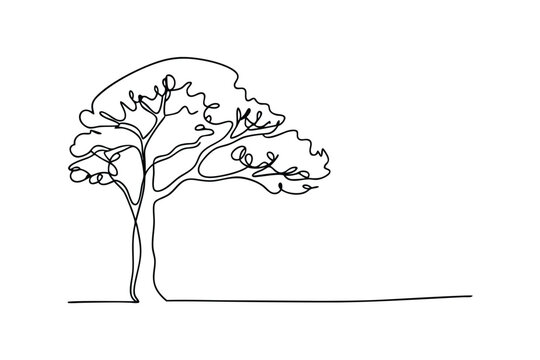 SingleLine Drawing of a Lush, Leafy Tree in Nature
