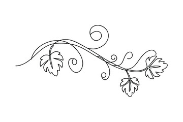 Elegant Vine Leaf Swirl Design, Simple Line Art Drawing