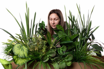 Fototapeta premium Woman exploring and arranging a variety of indoor plants in a vibrant display of greenery