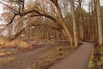 Park