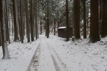 愛宕山の風景
