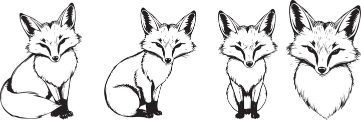 A set of foxes. Hand drawn vector illustration	