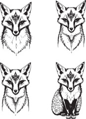 A set of foxes. Hand drawn vector illustration	