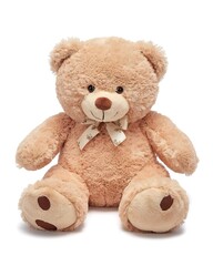 Nice brown teddy bear isolated on white background