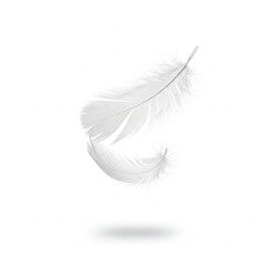 Obraz premium white feather falling down soft gentle graceful light background