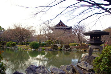 東寺　庭園 瓢箪池　京都市 南区 九条町