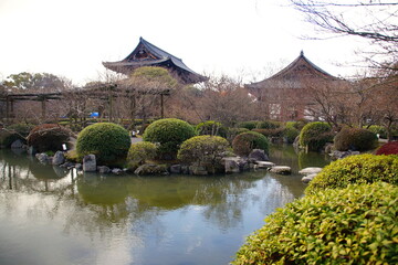 東寺　庭園 瓢箪池　京都市 南区 九条町