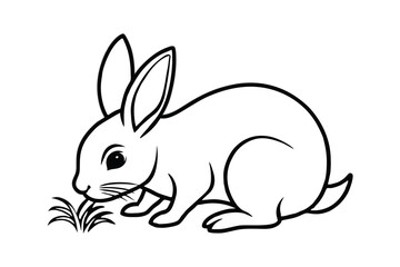 Cute Bunny Rabbit Eating Grass, Line Art, Black and White