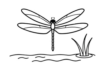 Dragonfly Over Water Simple Line Drawing of Insect, Nature