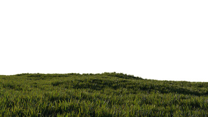green grass landscape horizon 3d png hill high quality rendering background wallpaper illustration	

