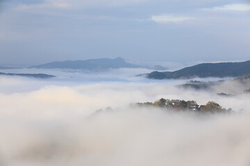 雲海と備中松山城。