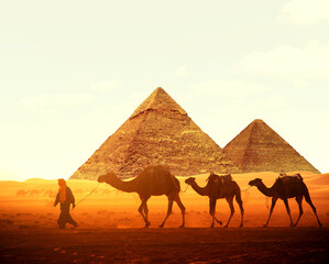 Horizontal banner with caravan of camels and Great Pyramids of Chephren and Cheops, Cairo, Egypt....